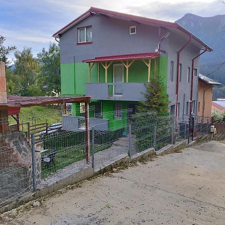 Vila Cri Cri Buşteni Dış mekan fotoğraf