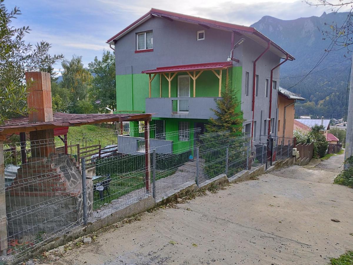 Vila Cri Cri Buşteni Dış mekan fotoğraf