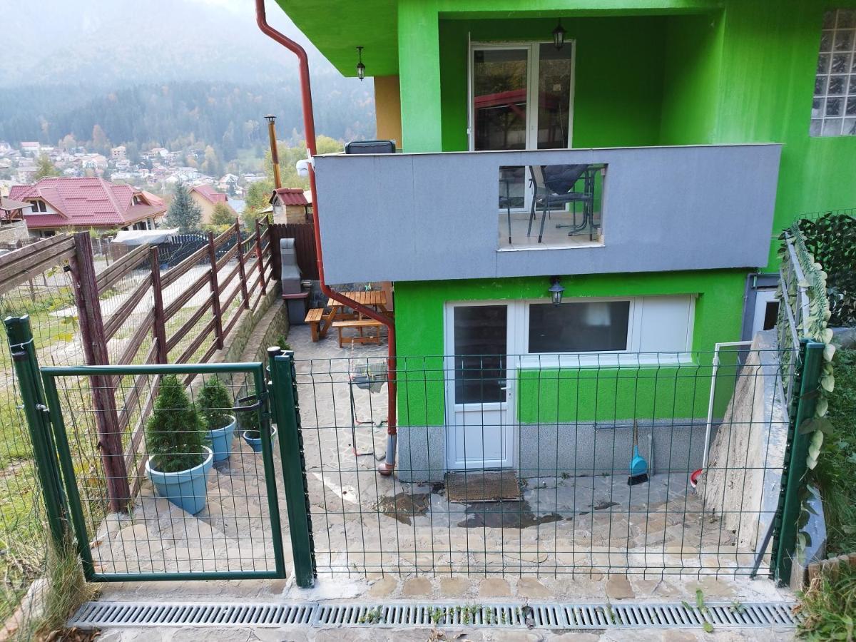 Vila Cri Cri Buşteni Dış mekan fotoğraf