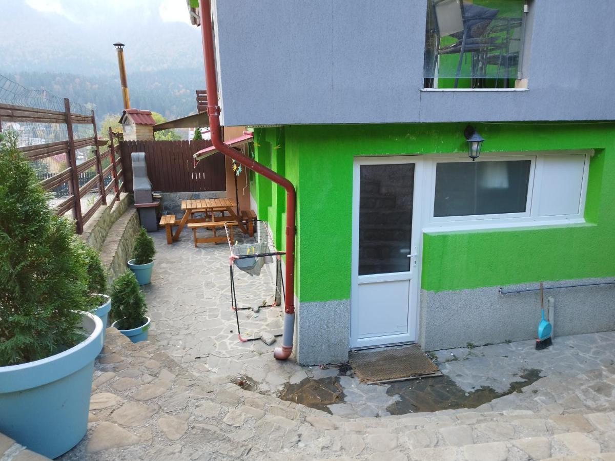 Vila Cri Cri Buşteni Dış mekan fotoğraf