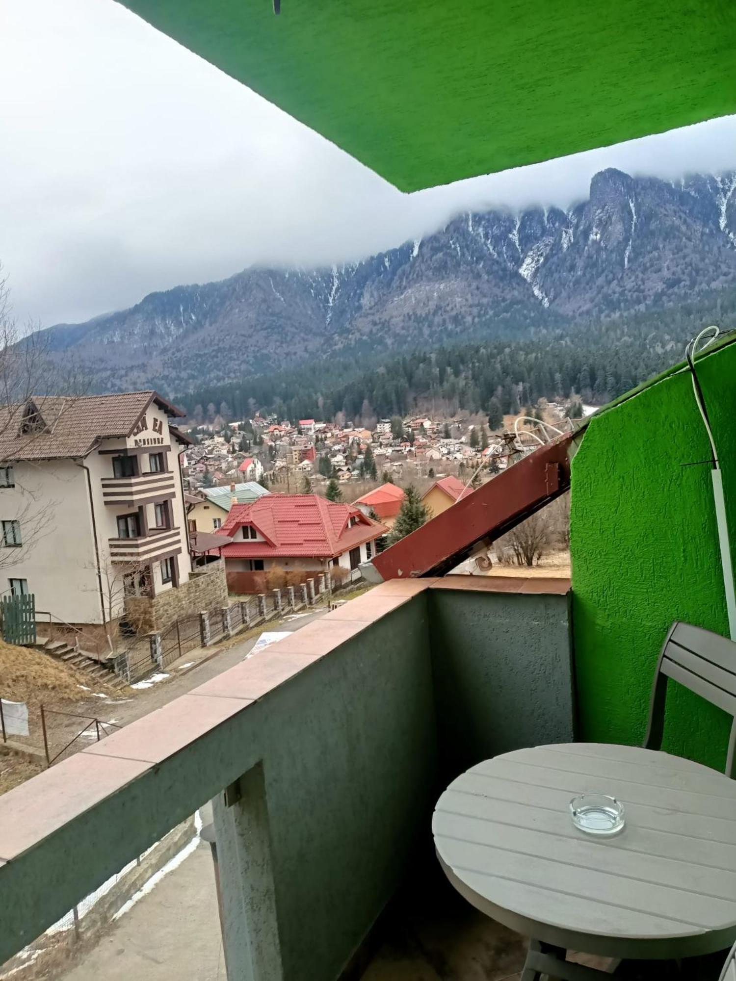 Vila Cri Cri Buşteni Dış mekan fotoğraf