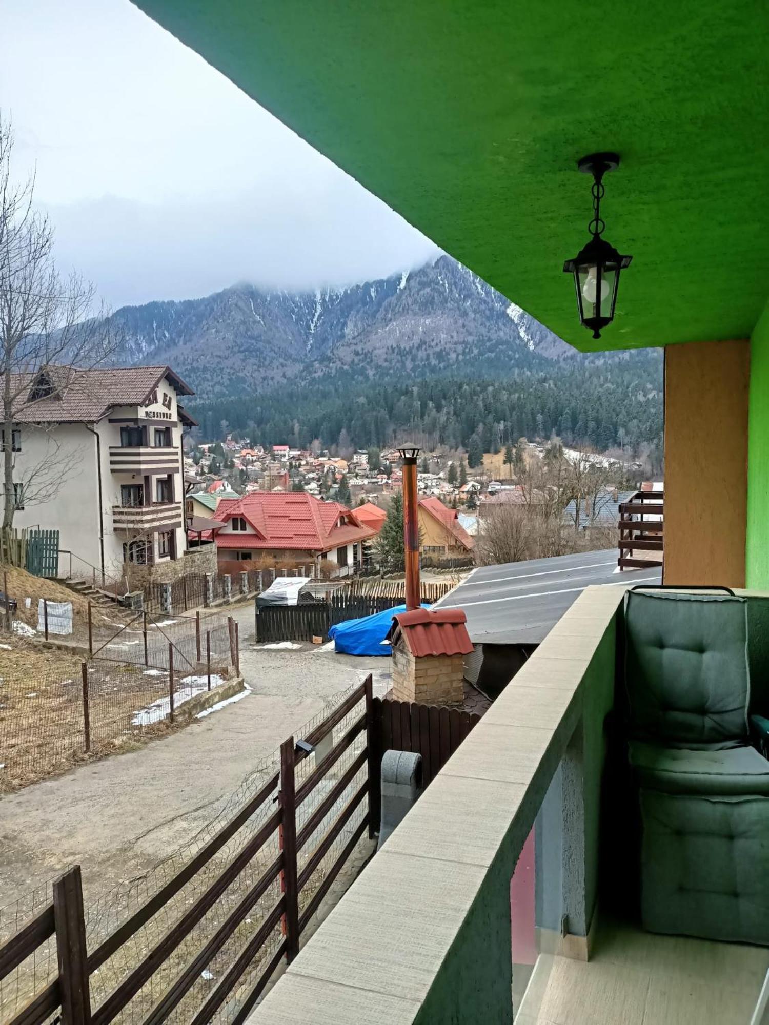 Vila Cri Cri Buşteni Dış mekan fotoğraf