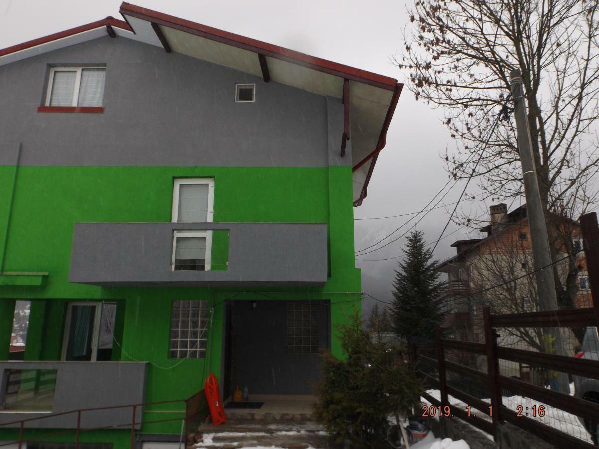 Vila Cri Cri Buşteni Dış mekan fotoğraf